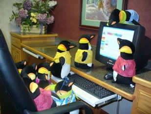 Penguins on the web
